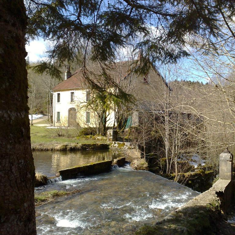 Au Moulin Des Fees - Maison D'Hotes Cascades Du Herisson Bonlieu Exterior photo